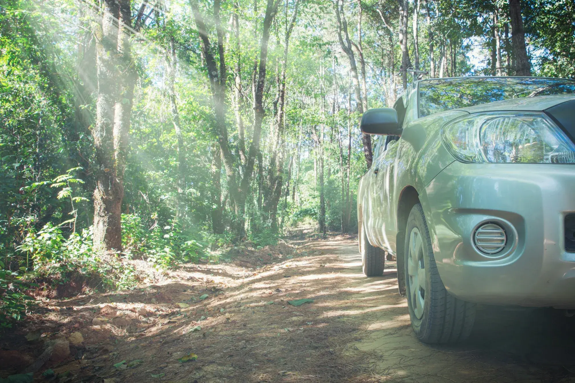 A silver SUV on a sunlit forest track